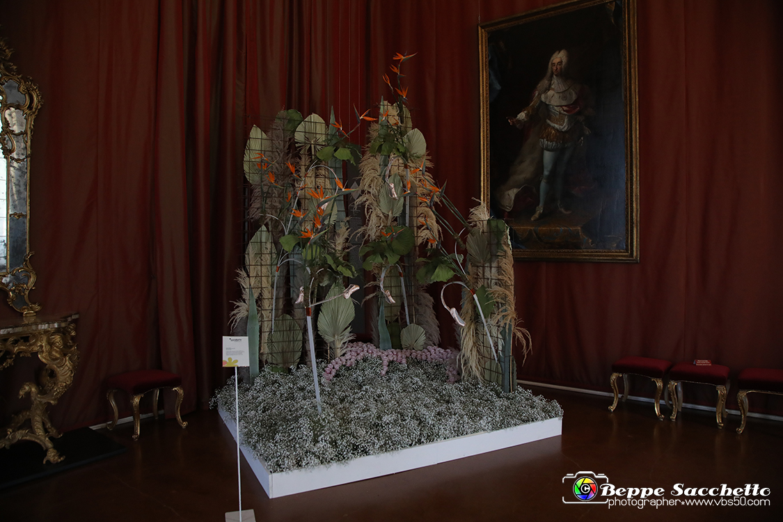 VBS_0131 - Corollaria Flower Exhibition 2022.jpg